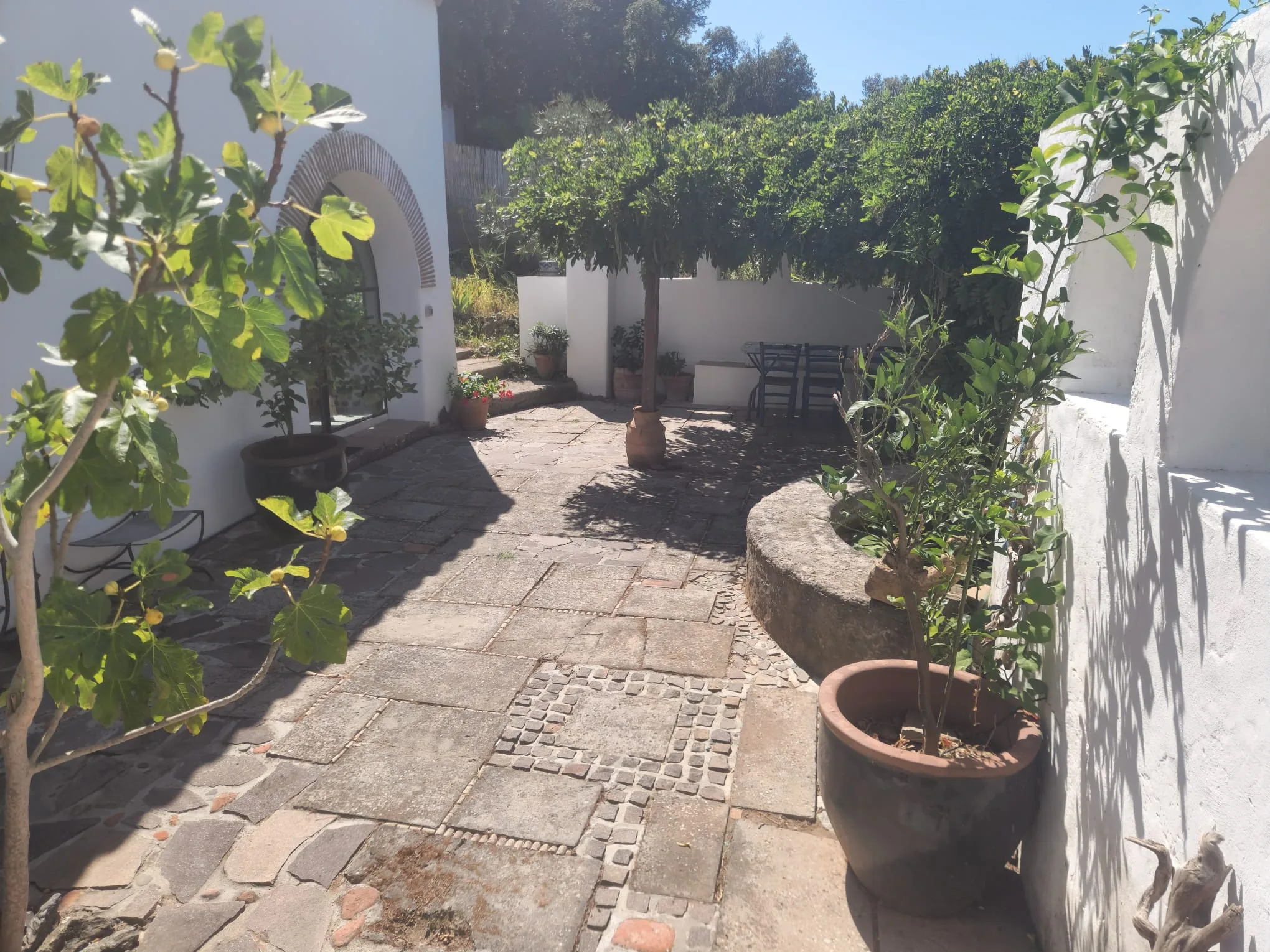 Terrasse Unten Küche b